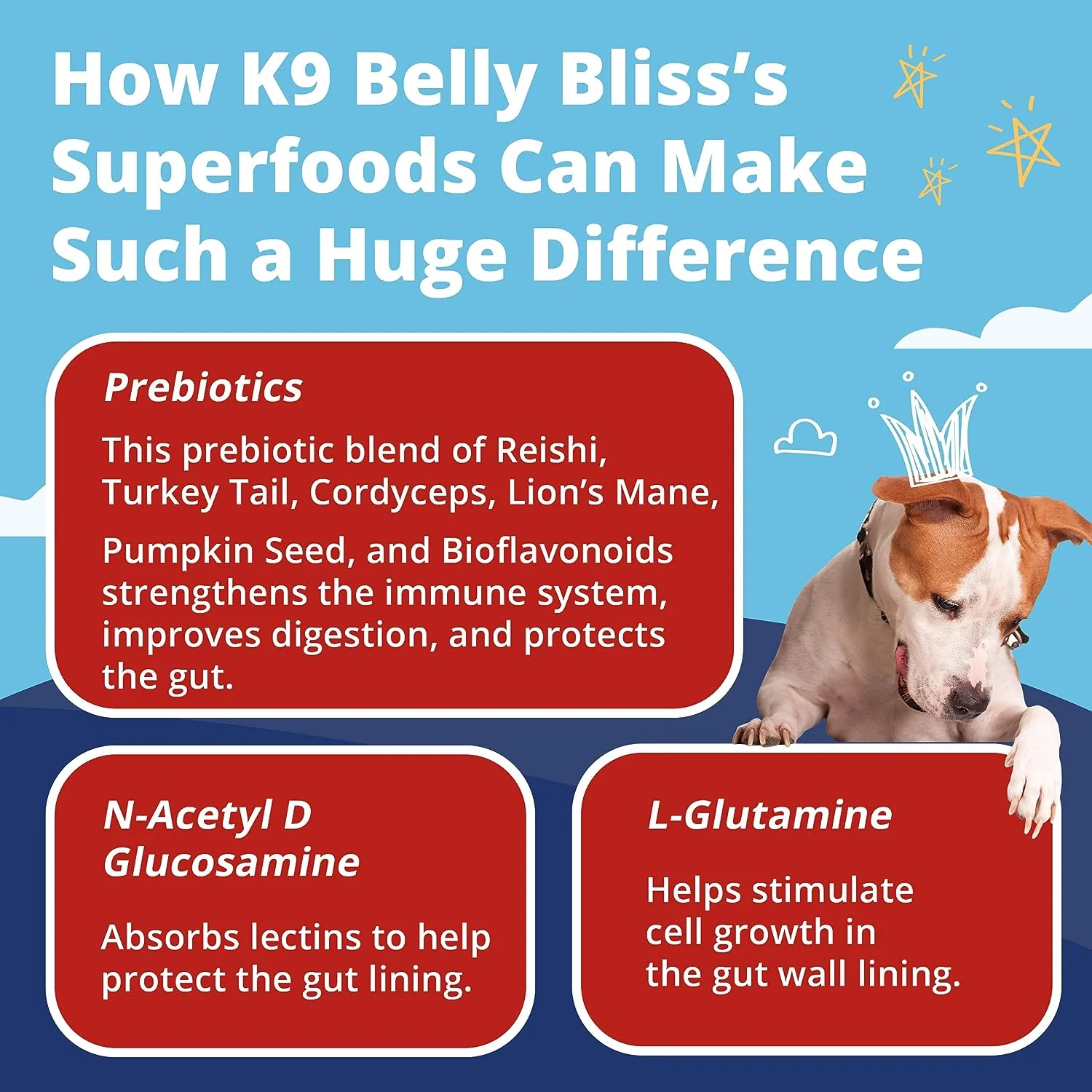 K9 Belly Bliss Subscription - Image 3