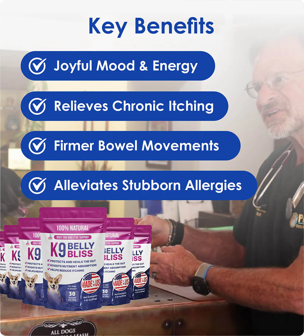 K9 Belly Bliss Subscription - Image 6