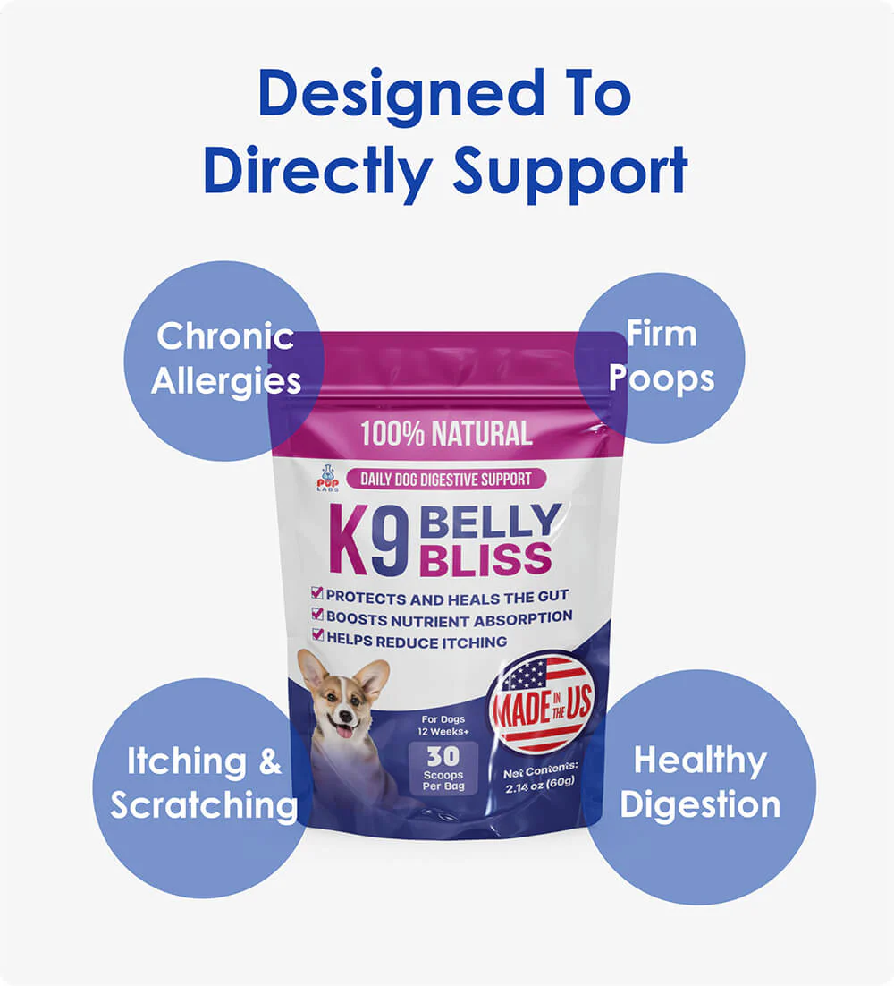 K9 Belly Bliss Subscription - Image 9