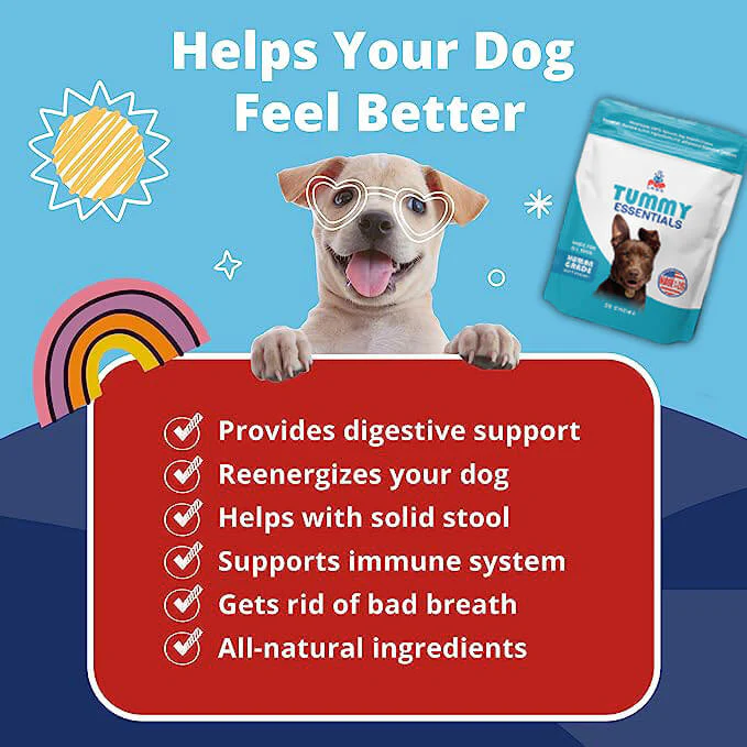 Tummy Essentials Digestive Chews - Image 3
