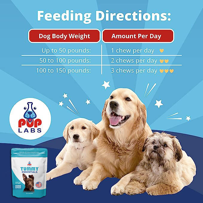 Tummy Essentials Digestive Chews - Image 5