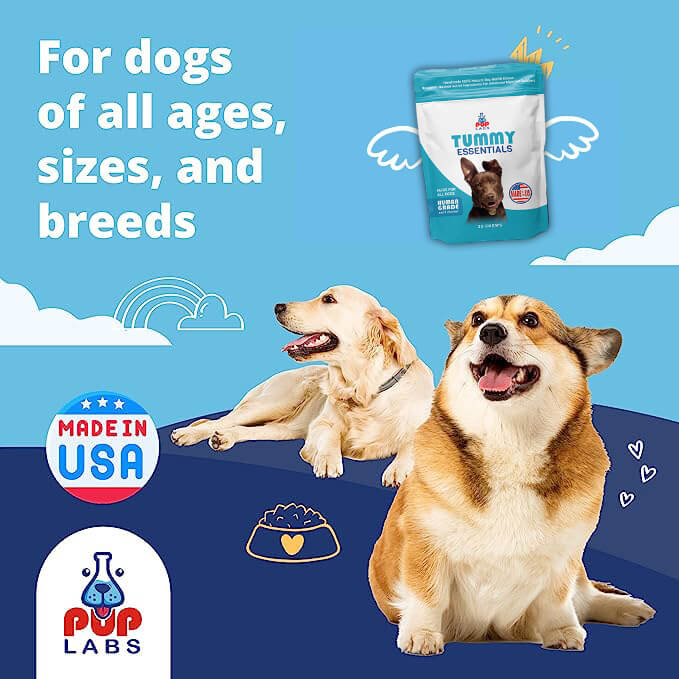 Tummy Essentials Digestive Chews - Image 6