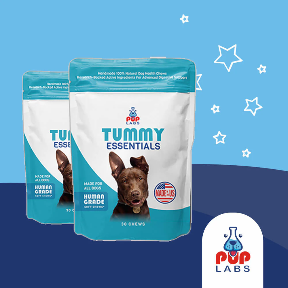 Tummy Essentials Digestive Chews - Image 7