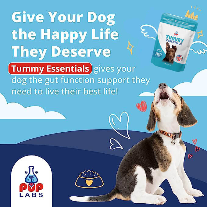 Tummy Essentials Digestive Chews - Image 8